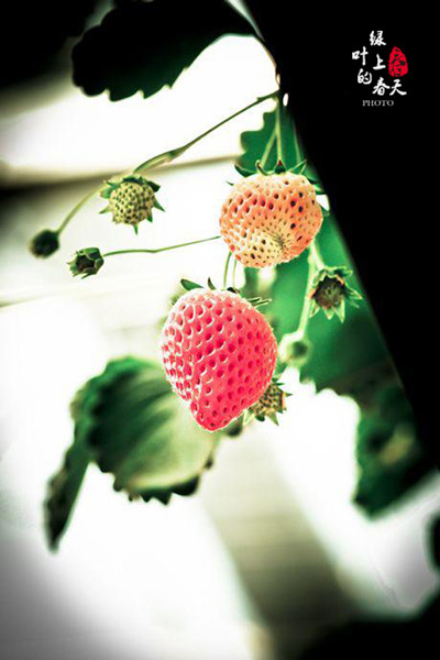 五十丰满熟妇性旺盛