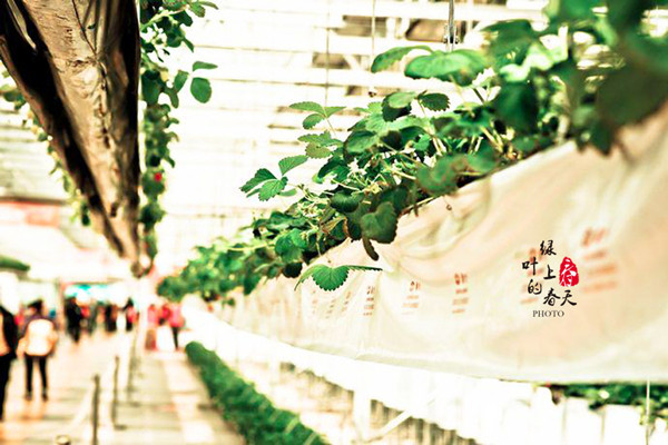 五十丰满熟妇性旺盛