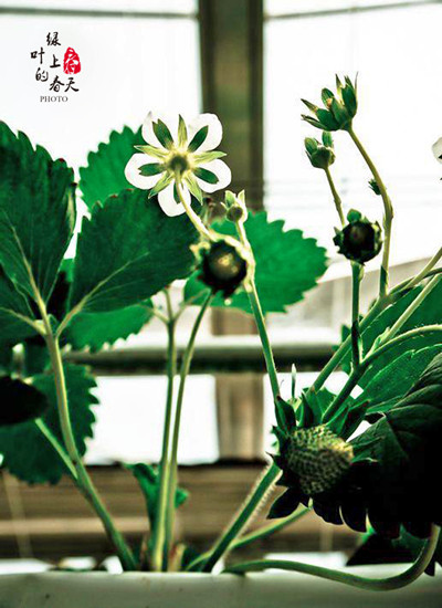 五十丰满熟妇性旺盛