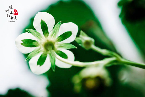 五十丰满熟妇性旺盛