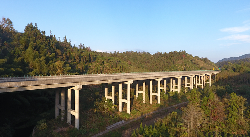 五十丰满熟妇性旺盛